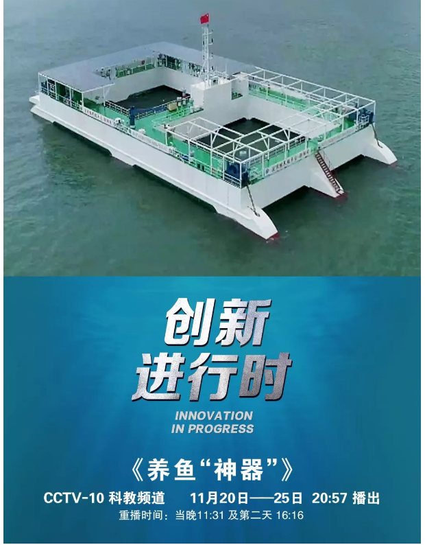 风再猛、浪再大，都拦不住我养鱼的雄心！