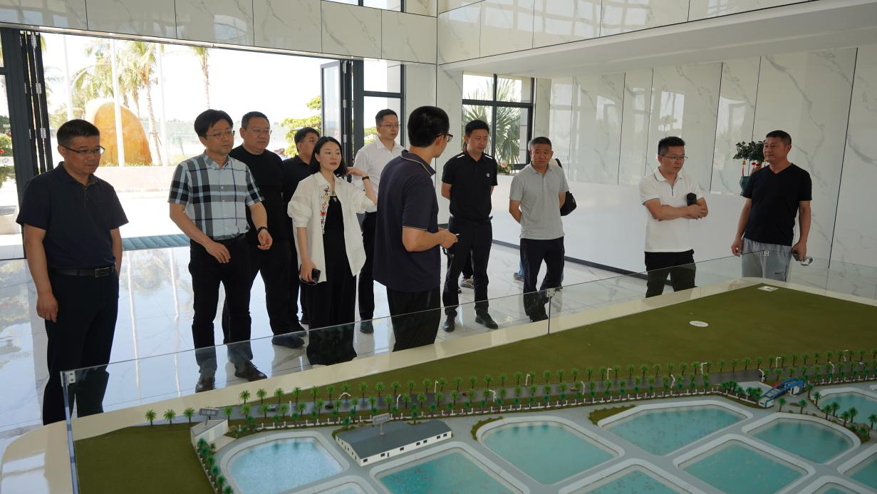 政企携手探路水产科技——链接海南晨海共绘产业新篇