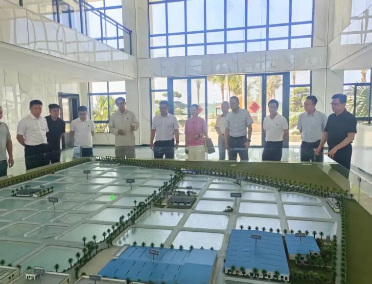 政企协同谋发展｜中山市政企代表团赴晨海水产开展渔业现代化专项考察